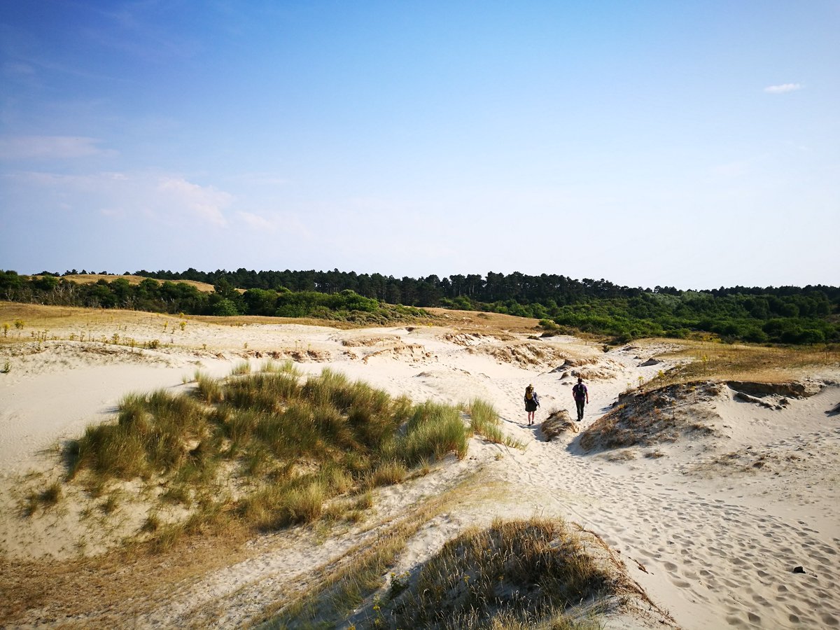 Dag 2, 16 juli. Ira vertrok uit Ellemeet waar zij de natuur in dook, roofvogels spotte alleen nog maar natuur om haar heen hoorde. Via Renesse doorgelopen naar Watergat. Daar trof zij boswachter Herman van <a href="/staatsbosbeheer/">Staatsbosbeheer</a> Met hem struinde ze  ruim 12 km door Meeuwenduinen