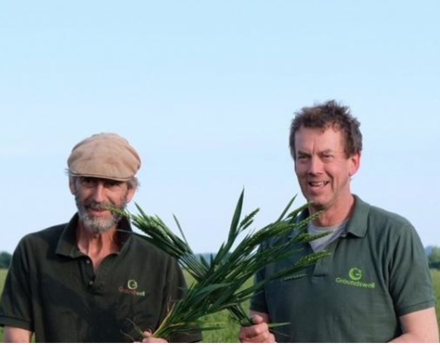 “The farm is mainly #arable. We grow a range of combinable #crops, using cover crops whenever possible, &amp; are trialling integrating #livestock &amp; growing 4 year herbal leys, particularly where grass #weeds are out of control.” ow.ly/aIEt50hZPRb <a href="/Groundswellaguk/">Groundswell Festival</a>