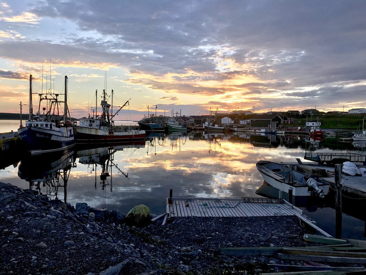 reiderbss's tweet photo. Leaving Port-au-Choix this morning. @NLtweets #FranklinTours https://t.co/FgQVDq0Qpw