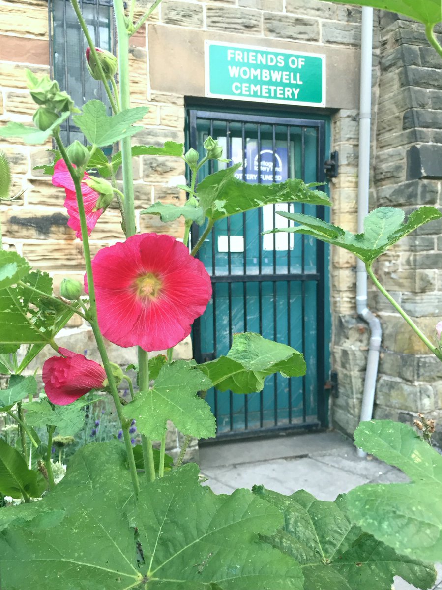 Slowly but surely, our #wildflowergarden has finally blossomed!  🌺🌸

#charitytuesday #wildflowerhour #wildflowers #charity #volunteer #wombwell #Barnsley #yorkshireinbloom #inbloom