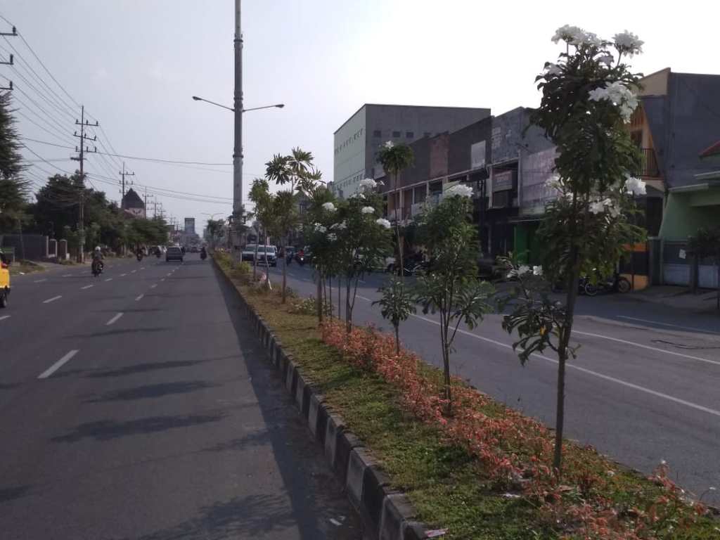 dlhjemberkab's tweet photo. Ini Tekad dan Upaya DLH Jember, Wujudkan Jember Kota Hijau https://t.co/kd1YJb0CBY https://t.co/UVLY8lu59M