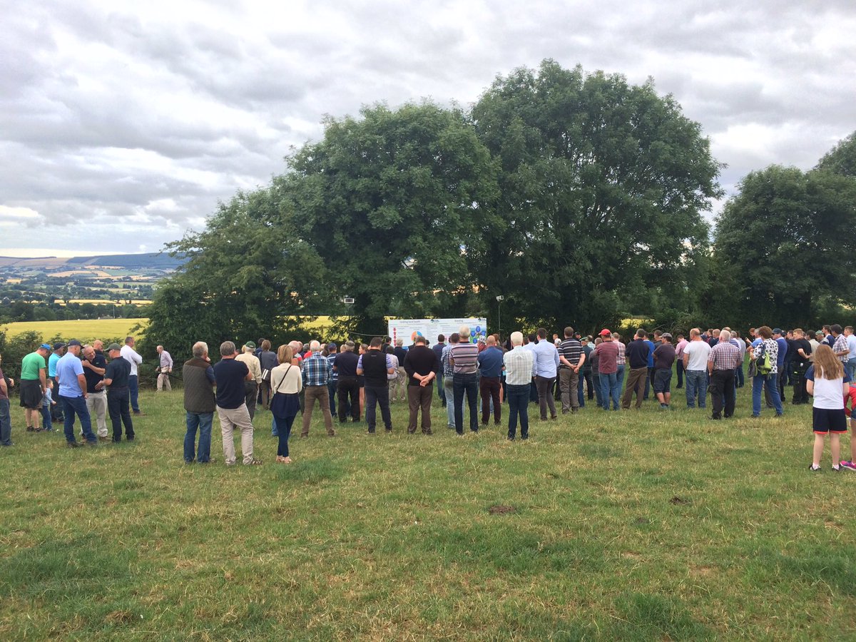 TeagascBeef's tweet photo. First walk on the @teagasc @farmersjournal BETTER Beef Walk on Brian Dorans farm in Carnew Co Wicklow. Another walk at 5.00pm #beeftechtransfer https://t.co/F4w0lWPPcF