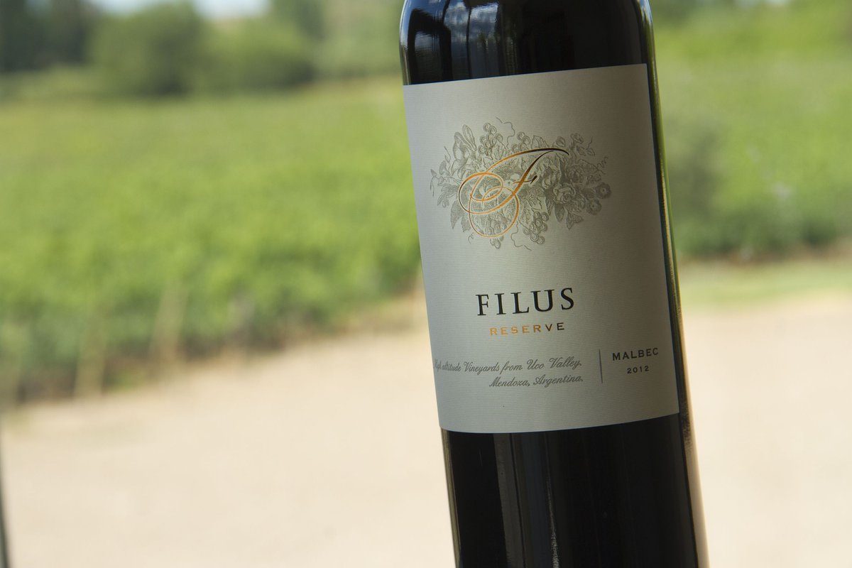 GourvidWine's tweet photo. Happy Tuesday friends! #Filus Malbec Reserve is a beautiful wine coming from the Uco Valley in Mendoza, Argentina. What do you know about this wine region? Share your knowledge #winelover! Cheers! 🍷
#Mendoza #ValleDeUco #Malbec @winesofarg https://t.co/mcVSBC8sAU