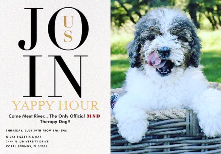 🐾🐾It’s happening this week. Ray and I get a girl...River, our MSD therapy puppy from Utah Bernedoodles 🧡pls Rt - share now and join us🐾🐾
@PrincipalMSD @MSDlibrarymedia @MSD_MsKenny @msdclassof2021 @msdclassof2020 @msdclassof2019 @DouglasDrama @MSDculinary