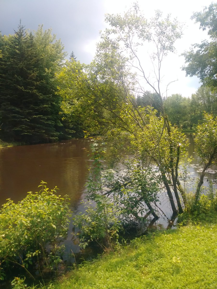 FireInfolding's tweet image. Cherry wood and cut sweet grasses
A gift from God 
Waft like blessed incense
From the fruited summer fields 
luring me back to innocence.
#SummerPoems 7/17

Photo is mine.