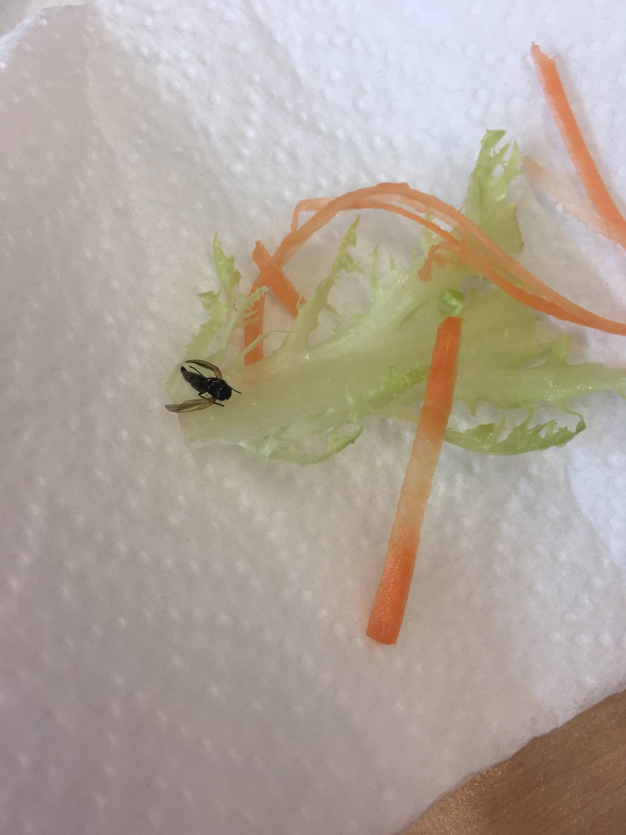 LizzyDearman's tweet photo. When you find a dead fly in your salad...... thanks @Tesco for the extra protein, but I think I’ll pass 🤢🤢🤢 https://t.co/Hj3yygGWy1