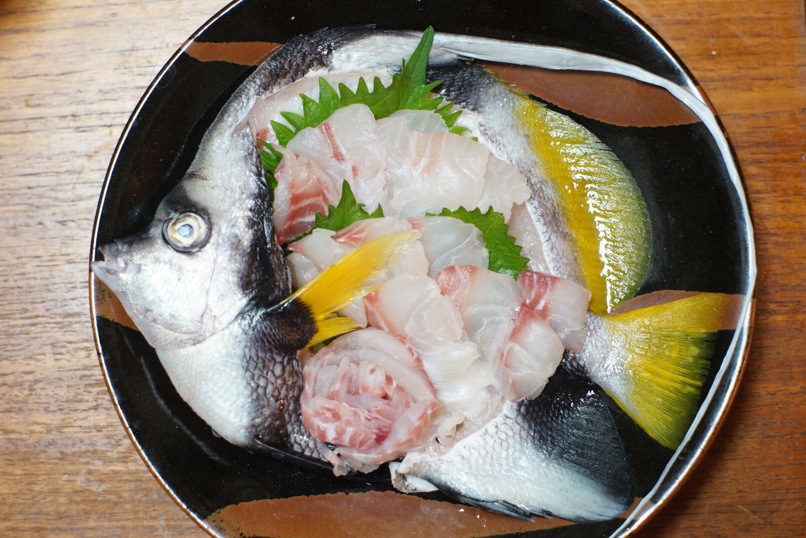 Twitter 上的 Funa これ 控えめに言っても激美味い 脂ががっつり乗ってて そこに甘みと深い旨みがある 100魚種目にして 刺身 では1番だったイシガキダイに勝るくらい デカイから良かったのかな ハタタテダイ T Co Bsdvjhstj5 Twitter