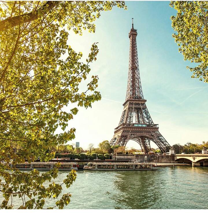 samia medine (@medinesamia) on Twitter photo 