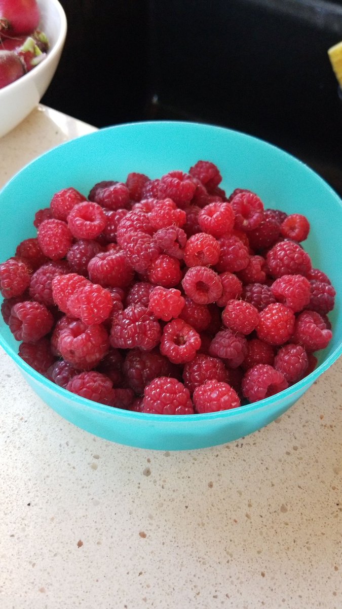 Raspberry picking season is here!