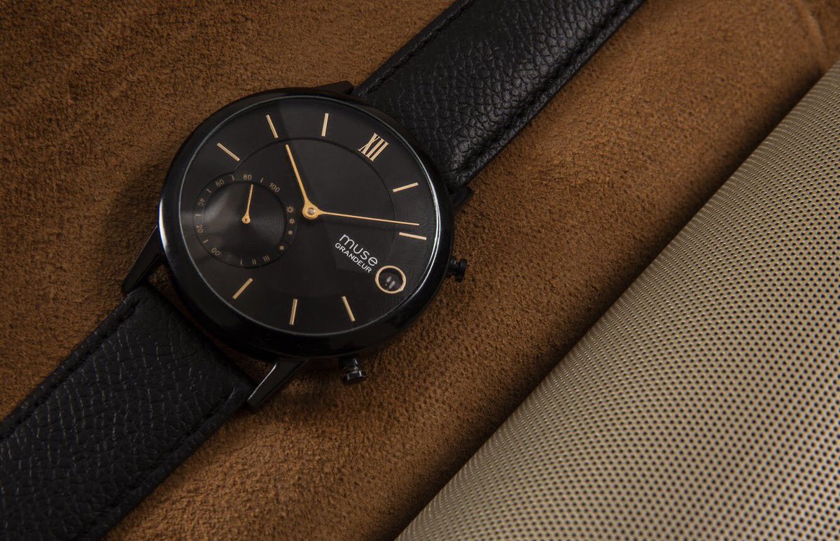 smartwatch muse