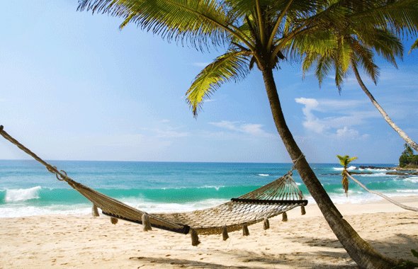 Vakantiebrief - osghugodegroot.nl/laatste-nieuws…