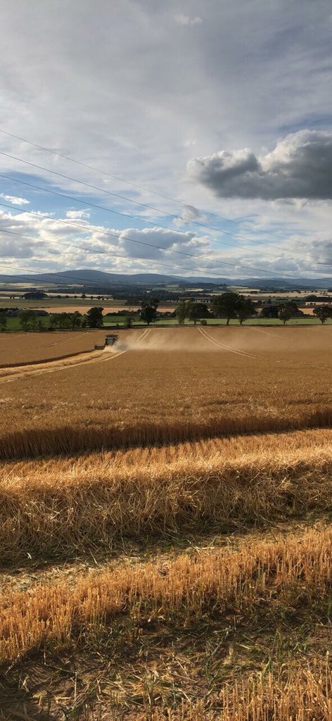 Galbraith_Rural's tweet photo. Harvest has begun across some parts of Scotland and here in #Angus โ๏ธ๐พ๐ #Harvest2018 #farmingchat https://t.co/5Do9Ub4m3y