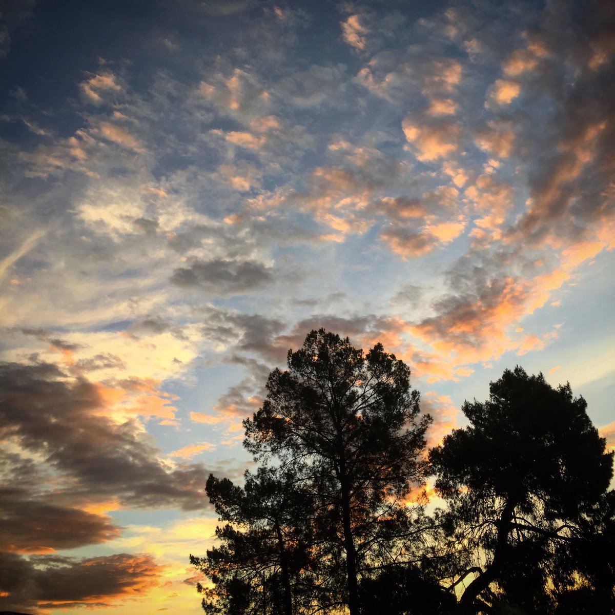 uagrounds's tweet photo. Monsoon sunrises make it worth getting up early! #UofA #uagrounds #sunrise #clouds #monsoon2018 #tucson https://t.co/TeDcBKgRhU