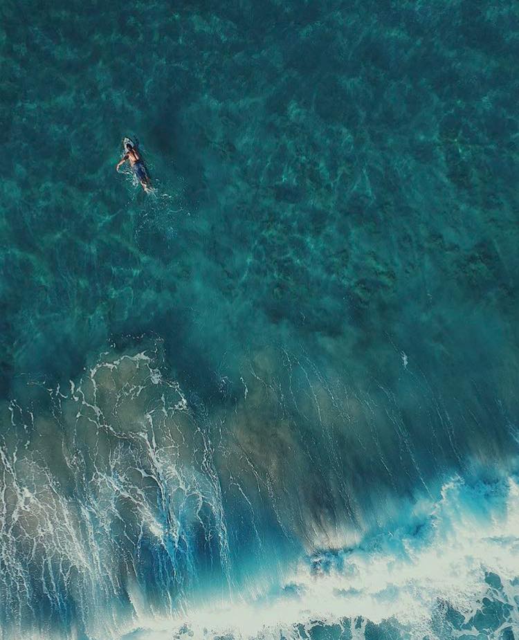 Distinct_Travel's tweet photo. Wake up and #Surf 🌊 
📍Red Frog Beach, Parque Nacional Isla Bastimentos (Isla Colón)
📸: @joacoteran via Instagram
#RedFrogBeach #Bastimentos #BocasdelToro
Read this article to learn more about Isla Bastimentos National Marine Park: https://t.co/fJTWhKcMJR
@visitpanama 
#panama https://t.co/hJXaLDsVDD