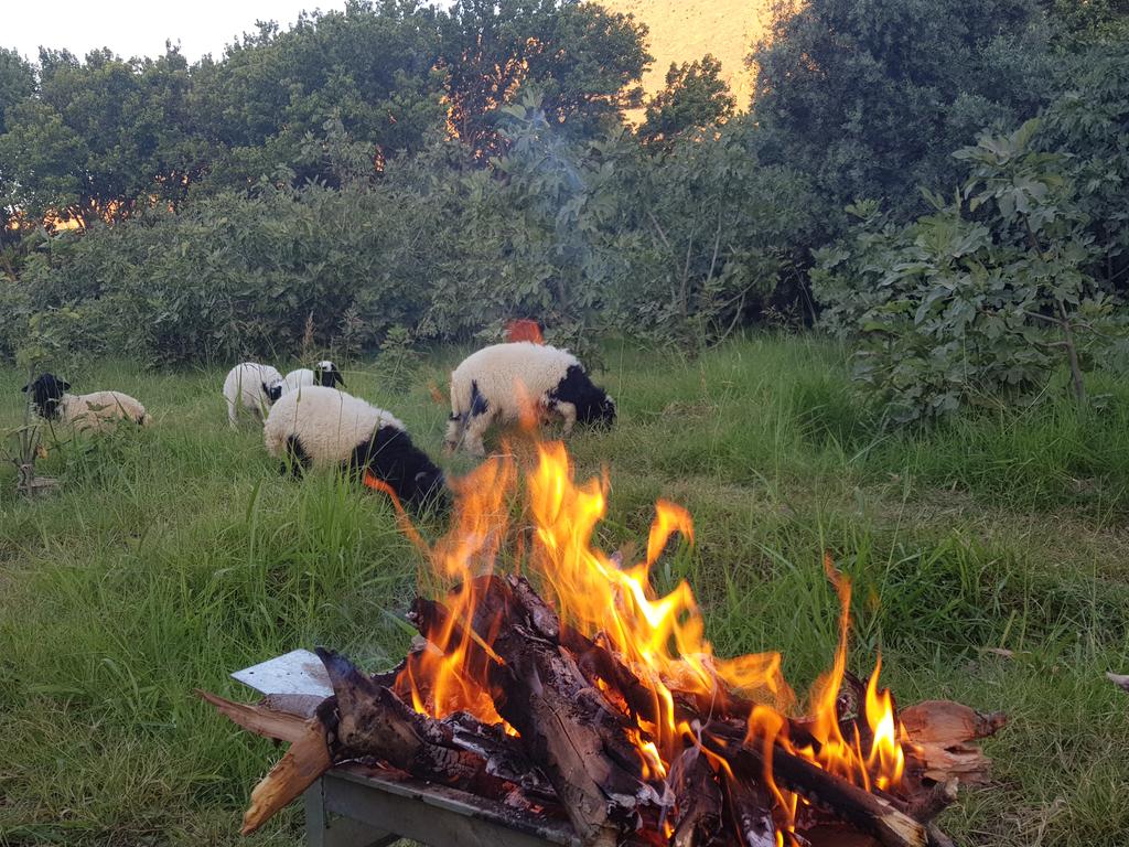 EMIN AKKAN (@keseyem) on Twitter photo 