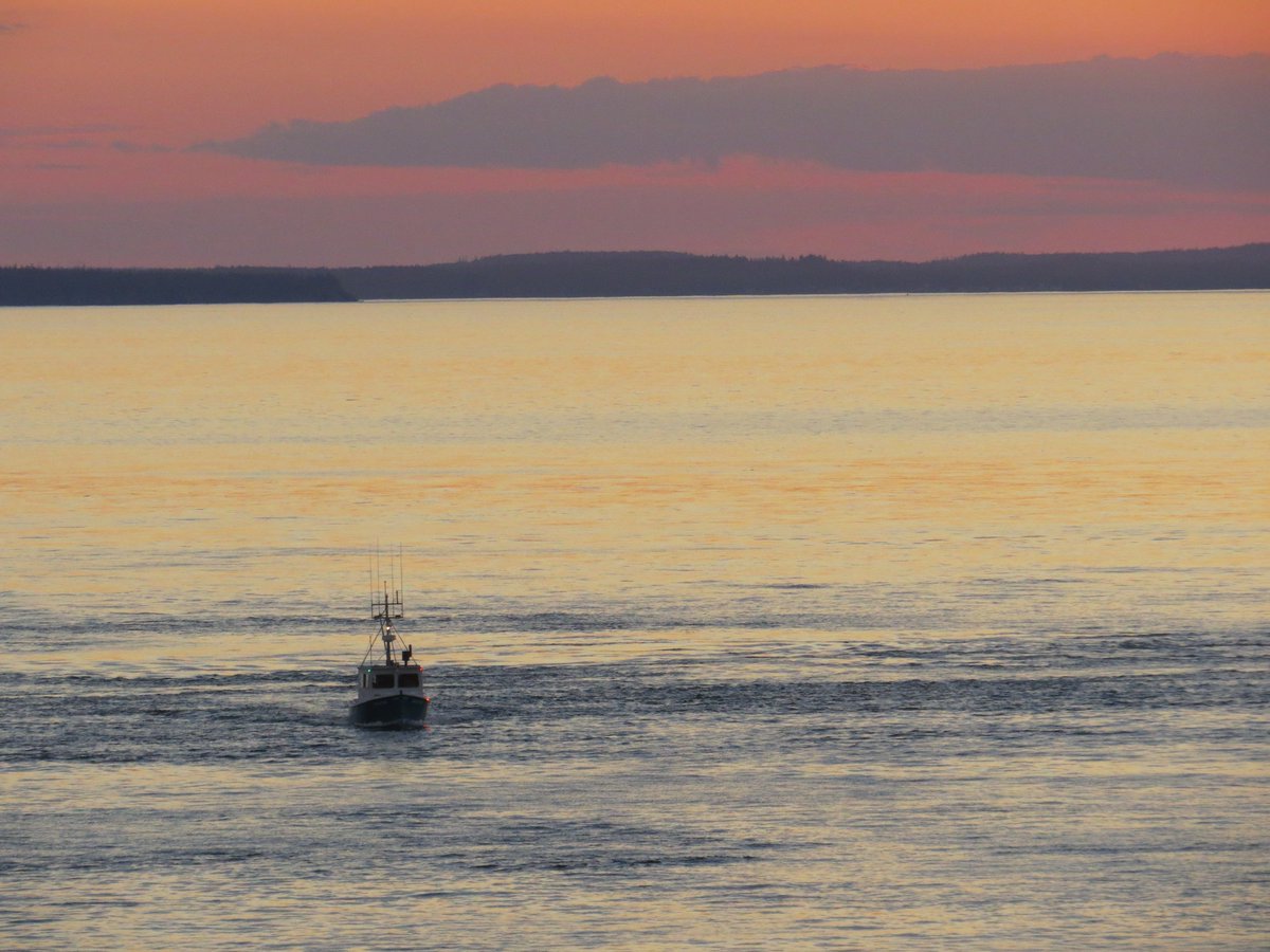 Grand Manan Island tweet media