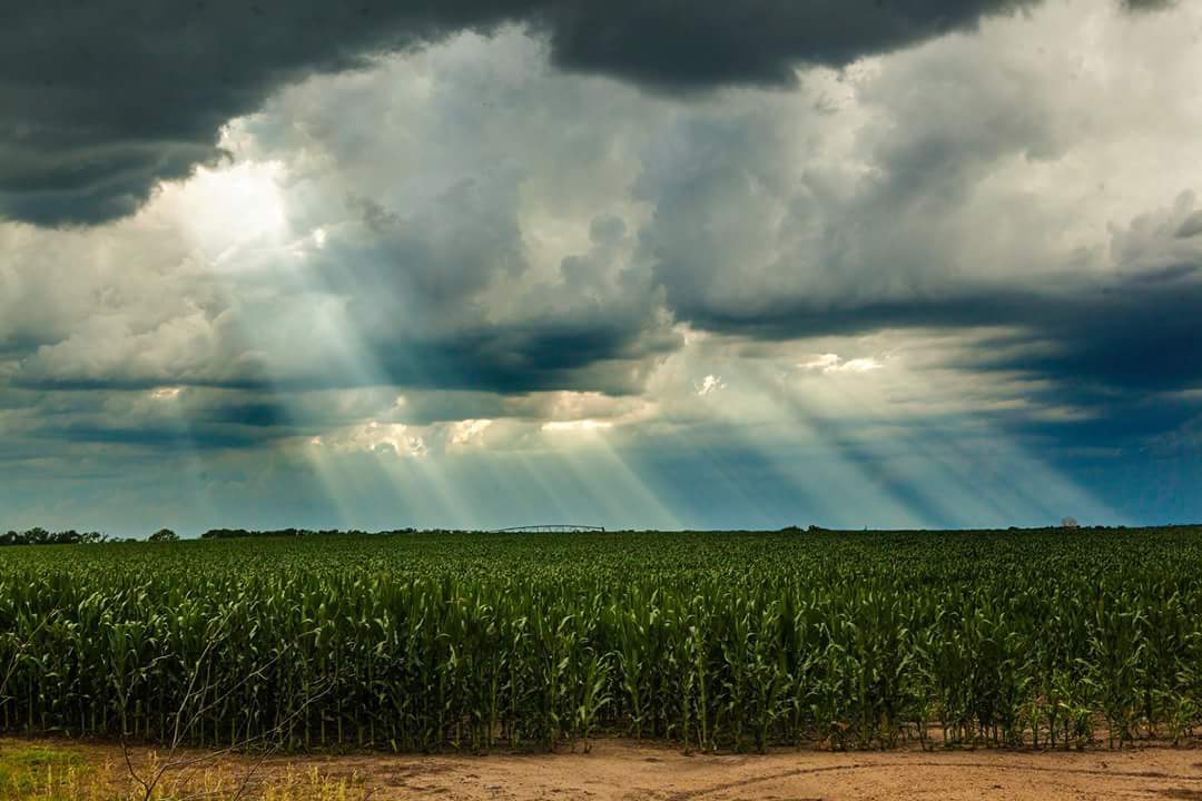 📸Community Photography Day📸
On July 19th, at 1pm at the FJN office, we will be hosting a Community Photography Day. Come with your questions, come eager to learn. Wonder why some photos look the way they do? Wanting to take your hobby to the next level?