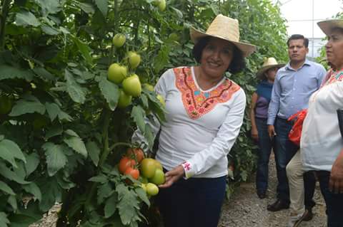 RalNietongel1's tweet photo. Estableciendo compromisos de trabajo para el Desarrollo de la Mixteca con Margarita García García, Diputada Federal electa por el Distrito 03 de Oaxaca con #MujeresMixtecas, San Miguel Tulancingo, Oax. @_Gaby_Salazar @Fitoschap @vmva1950 @Josefa_GBOM @Mary_Luisa_AG @NazarioGm https://t.co/YBWzis1Nfn