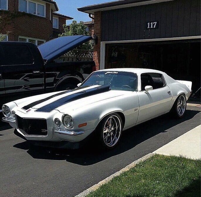 Muscle Cars tweet media