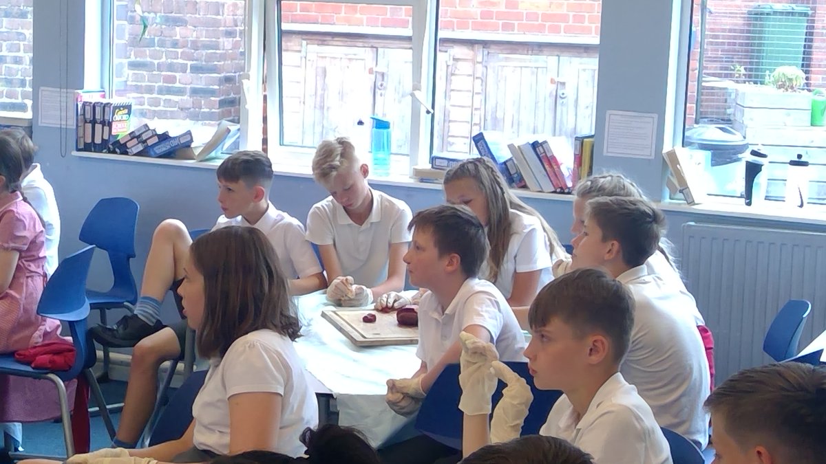 wootton6b's tweet photo. A fully 'hands-on' science lesson in Year 6 this afternoon!  We looked closely at hearts and the lungs.  Fascinating!  #practicalscience #primaryscience #enthusiasticscientists https://t.co/y5JyQN3eP3