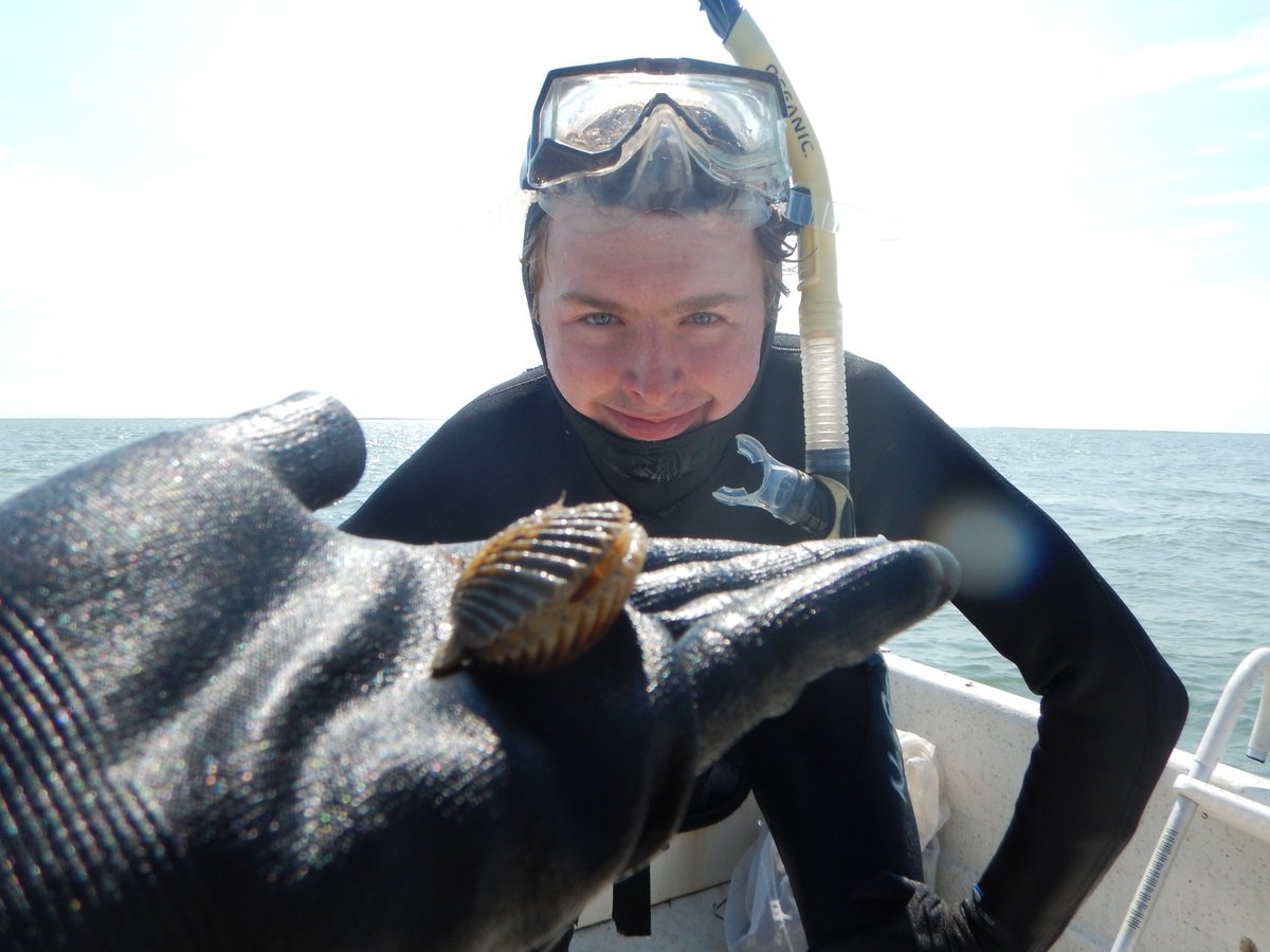 LabSav's tweet image. Just finished our annual bay scallop survey in the seagrass beds of the Virginia coastal bays. It was a great effort by the whole crew! Here are a few photos.