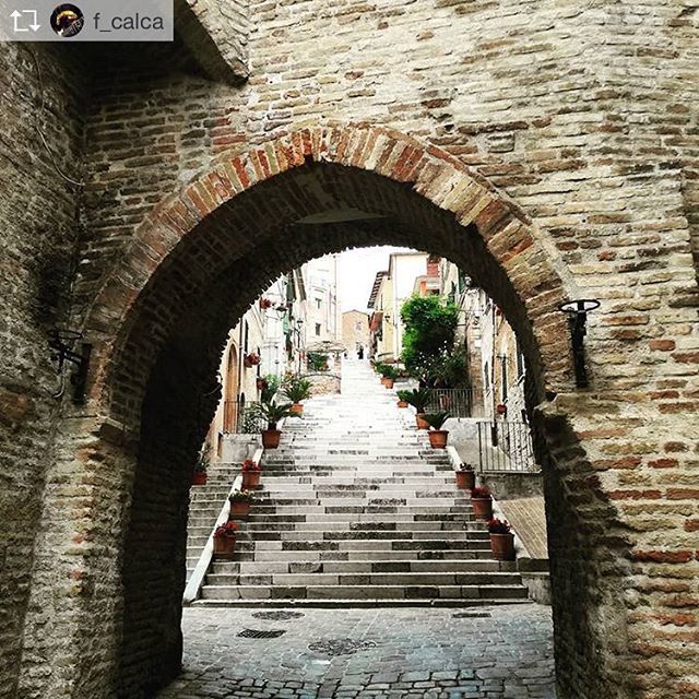 cittacorinaldo's tweet photo. Buona serata da La #Piaggia (scatto di @f_calca ) #centoscale #corinaldo #cittapalcoscenico #comunedicorinaldo #borghiditalia #borghipiubelliditalia #borgomedievale #bandieraarancione #bandierearancioni #touringclubitaliano #yallersitaly #yallersmarche #yallersitalia #yaller… https://t.co/EwjsZmQ1a9