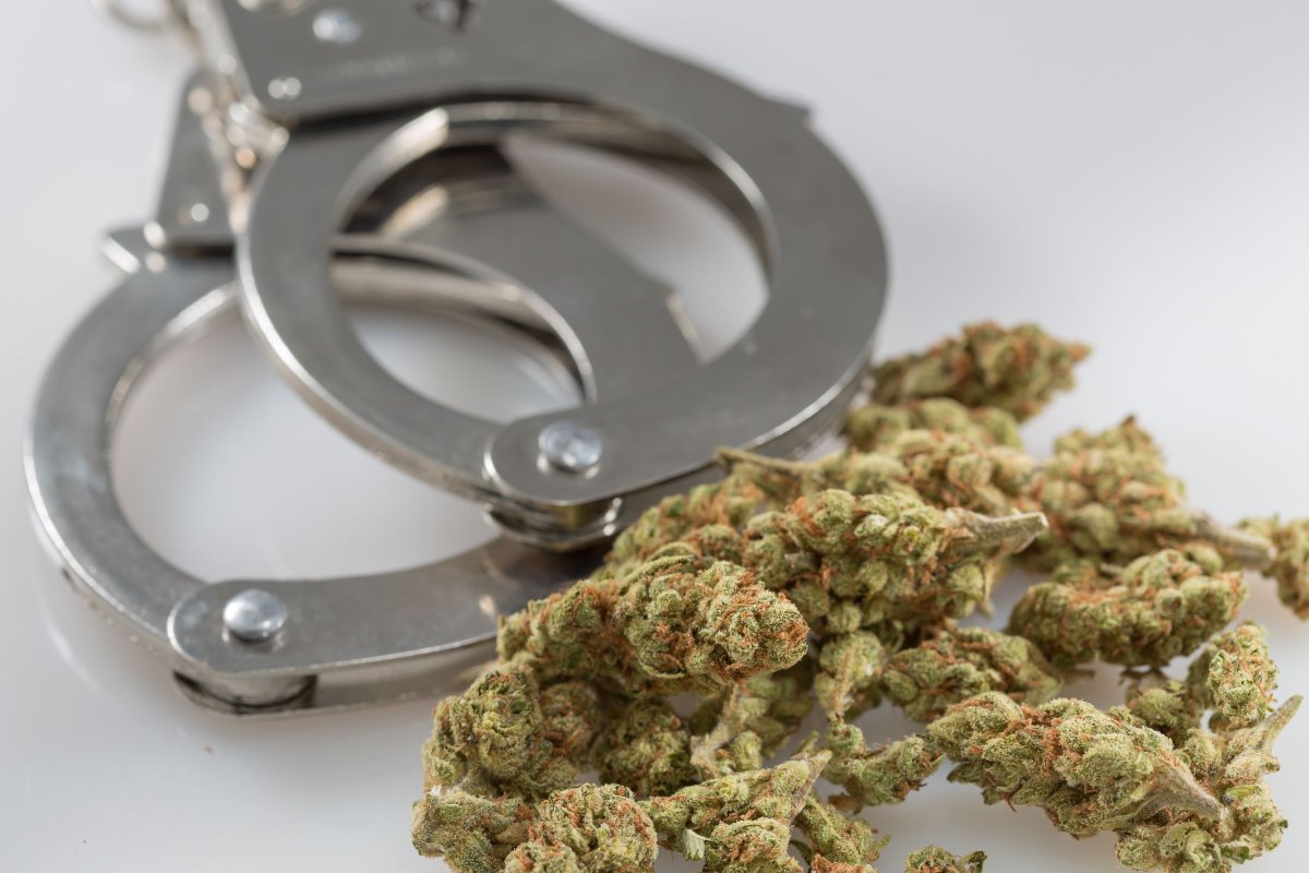 ThinkTankExile's tweet photo. Legalizing Marijuana Helps Police Solve Other Crimes, New Study Shows https://t.co/71ZoOUKEKF https://t.co/5FXUksdQGr
