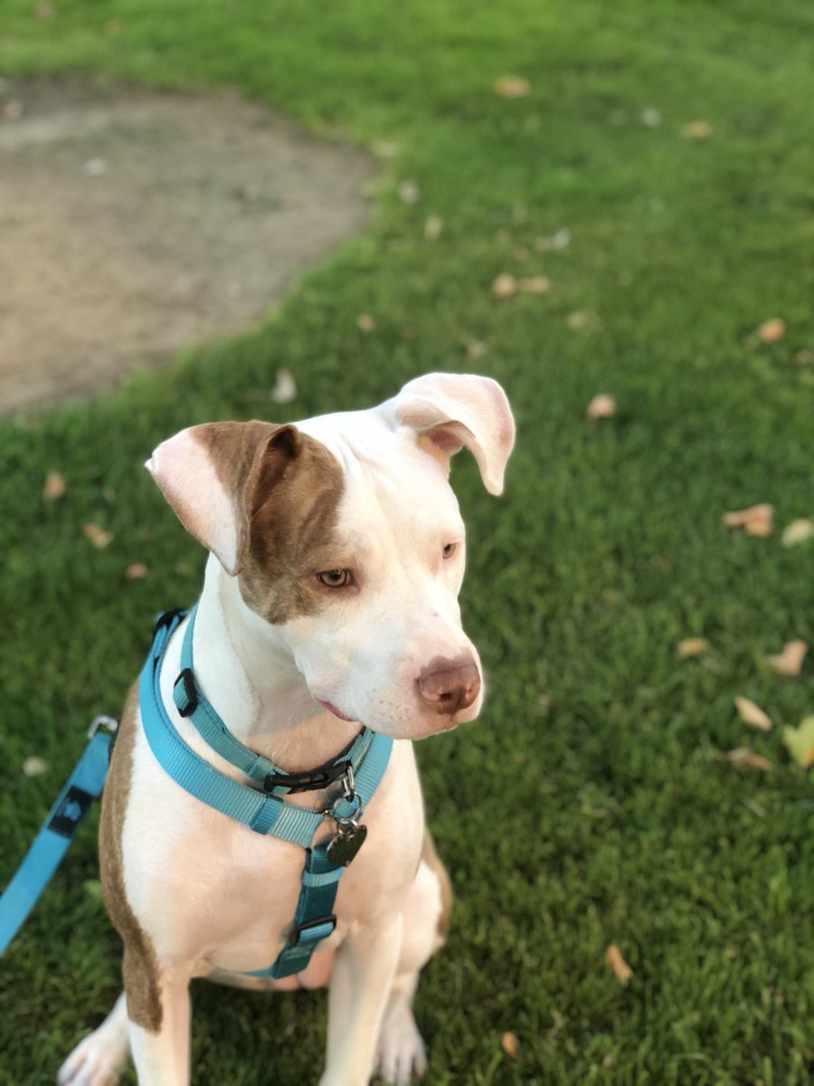 Lex 🖤 tweet media