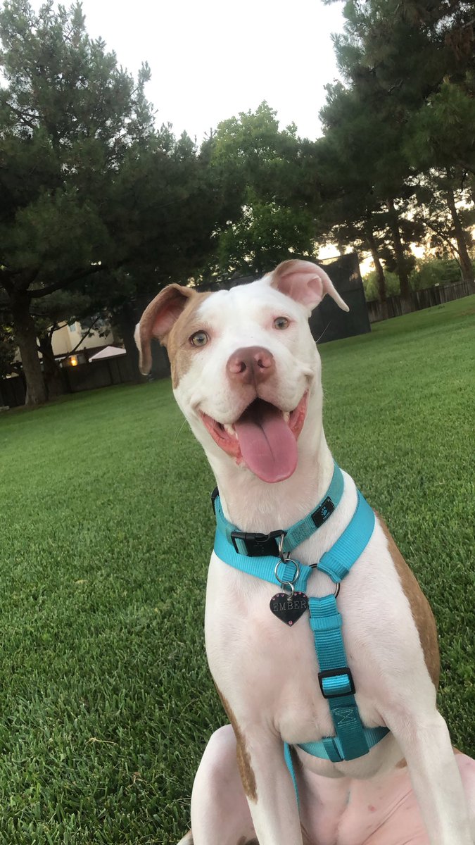 Lex 🖤 tweet media