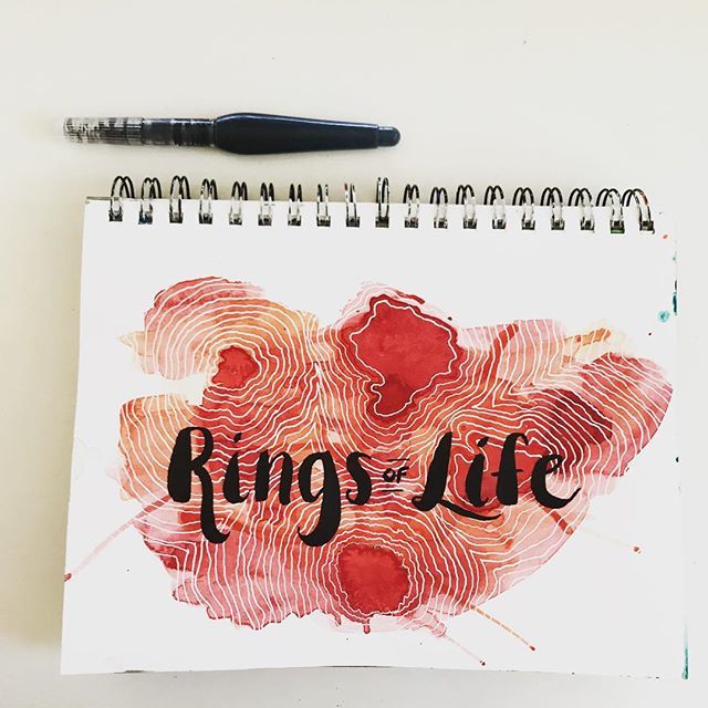 ideateandcreate's tweet photo. RINGS of LIFE
We all have different paths as we travel through this life. Be patient with yourself and with others as you cross paths, as you don’t know what they have gone or are going through.
#notetoself #ideateandcreate #ideate #create #creative #ar… https://t.co/WAwQN1St3o https://t.co/J4LHvE0B2B