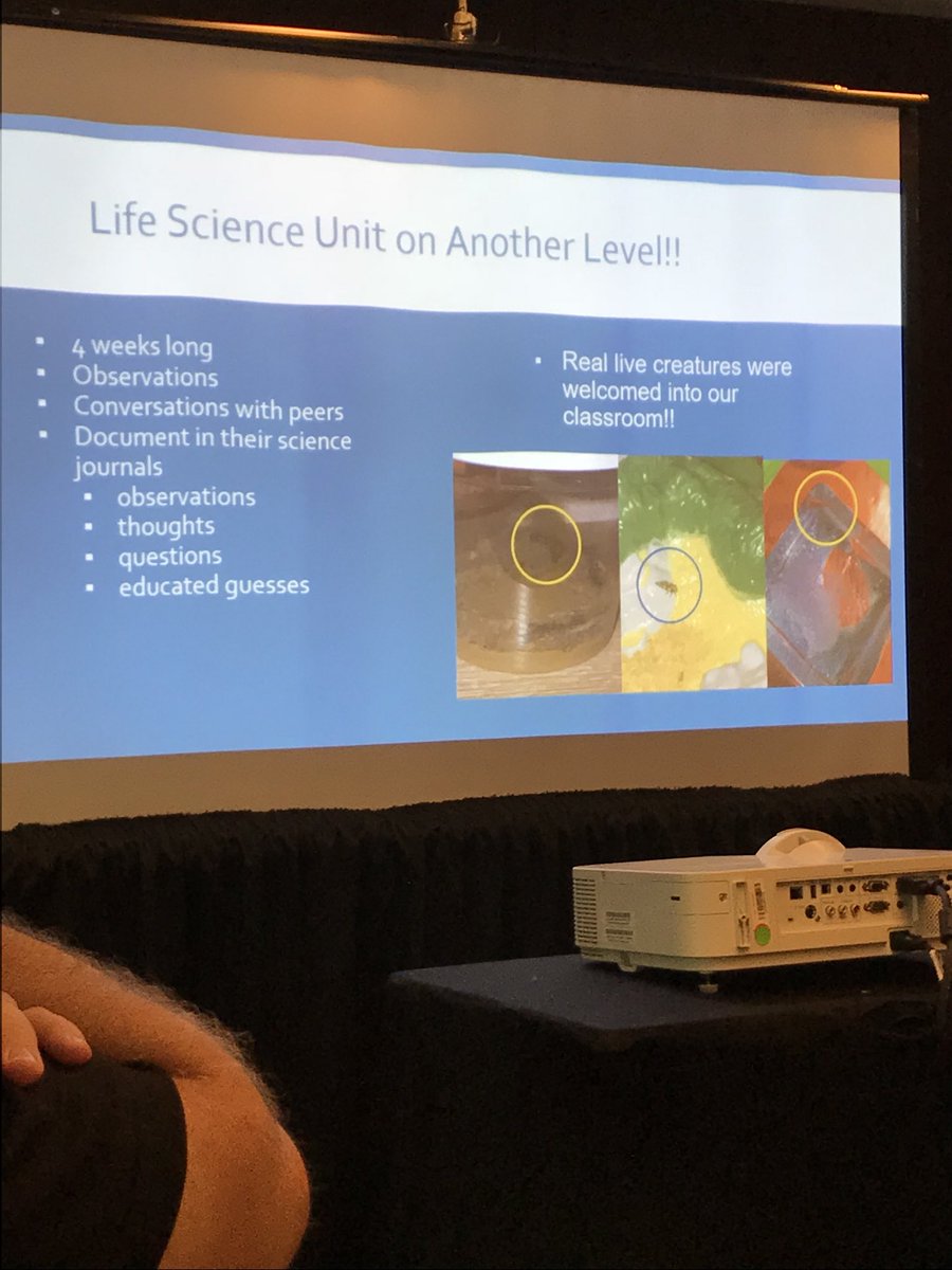 daa222's tweet photo. Lisa Thompson, Noyce MTF and PS 78 SI,NY 1st grade teacher, uses journaling about creatures to develop science knowledge and watches her kids take off beyond expectations. #Noyce2018 @District31R #NYCSchools @PS78 https://t.co/7vUvRylIvH