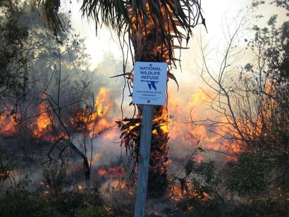 A national wildlife refuge sign in a wooded area that is lined with flames and rising smoke.