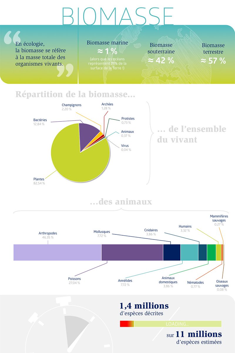 FRBiodiv's tweet photo. [Synthèse] Découvrez la première des trois synthèses sur la #connaissance de la #biodiversité qui reprend les résultats de l’article "Répartition globale de la #biomasse au sein de la biosphère" (PNAS, 2018) 
▶ https://t.co/anNdgOY2mH

+ d'informations : https://t.co/tLip2HEiK9 https://t.co/BxgeaWJbRW