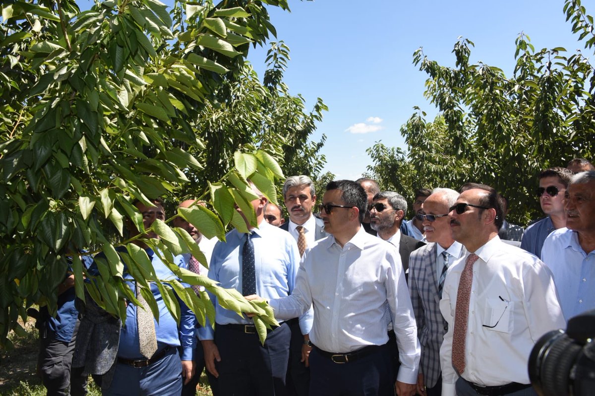 TCTarim's tweet photo. Bakanımız Dr. @bekirpakdemirli Yozgat’ın Kadışehri İlçesi Kabalı Köyü'nde birlikte üretim modeliyle uygulamaya geçirilen Meyvecilik Entegrasyon Projesi'ni yerinde inceledi. https://t.co/1m3ZaWWBEL