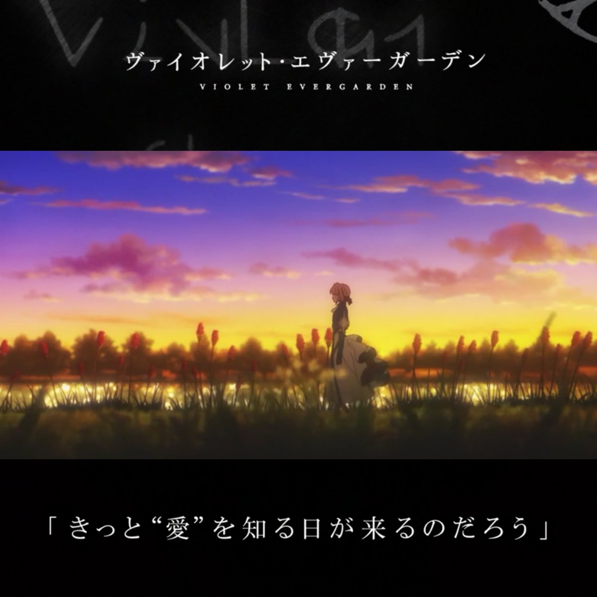 きぷんおみか 本日は ヴァイオレット エヴァーガーデン Extra Episode きっと 愛 を知る日が来るのだろう を視聴 月並みな事しか言えないが すげぇアニメなんだなと改めて思う すげぇ すげぇよ 記憶に新しいエヴァガ Blu Ray4巻に収録された番外編