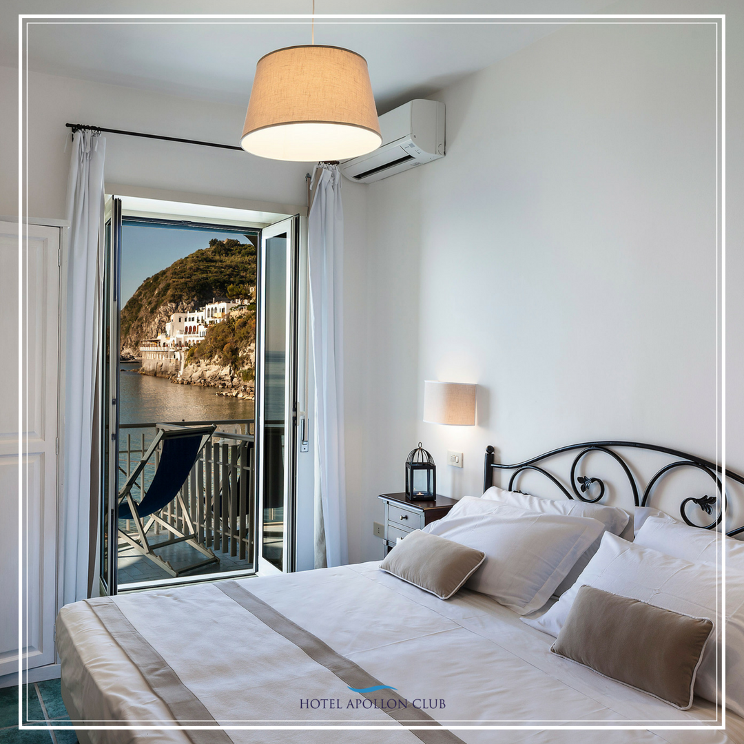 Hotel Apollon Club tweet media