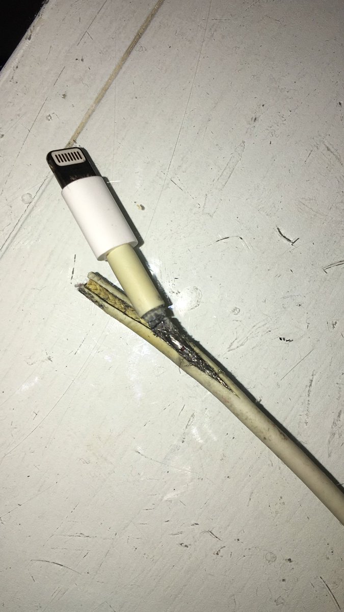 mmwfh3's tweet photo. Um amor: Apple
Um ódio: cabo da Apple https://t.co/w8qzsDBcA5