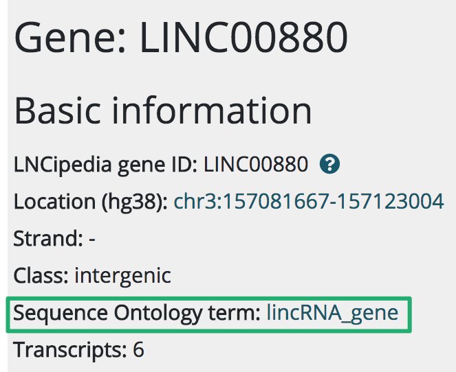 LNCipedia.org tweet media