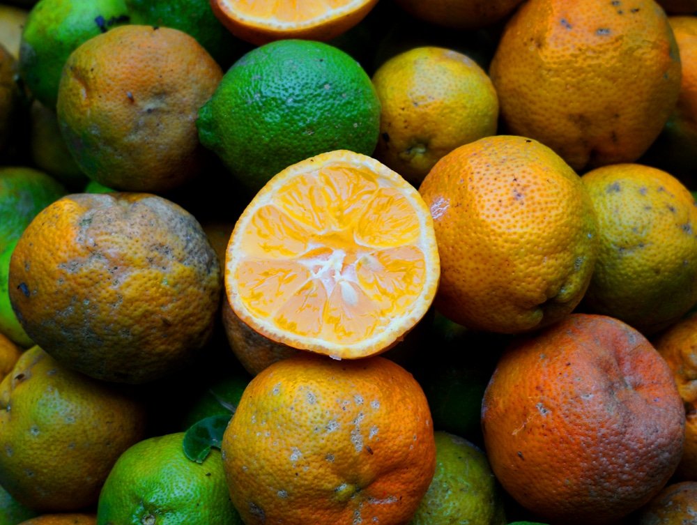 PhoenixCaptures's tweet photo. Each photography reminds us of an expired moment of time.
#phoenixmemory
#photographey #travelphotography #goodvibes #nikon #nikonglobal #foodphotography #fruitphotography #shootguru #maibhisadakchap #loveforphotography https://t.co/lsMfBPBN9f