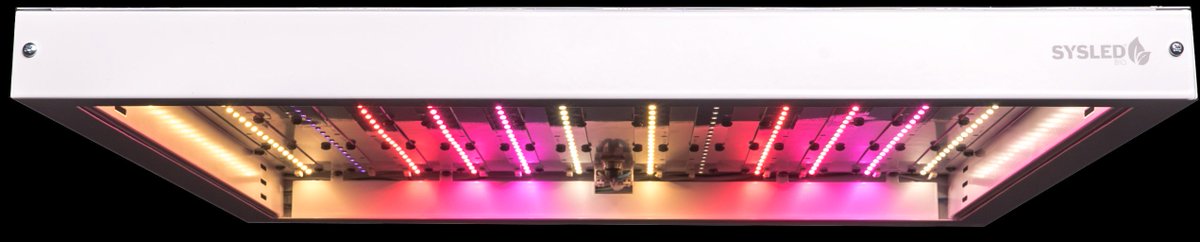 sysledbio's tweet photo. Panel SYSLED Bio 300W, crecimiento vegetativo y floración en una única luminaria. https://t.co/NXm86pjmz9