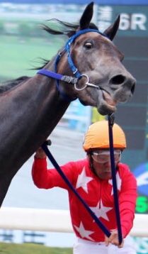 競馬界のレジェンド・的場文男が落馬寸前でゴール！その写真が衝撃的