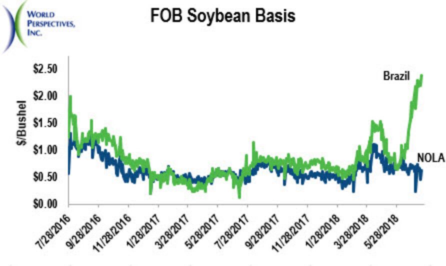 Seth Naeve tweet media