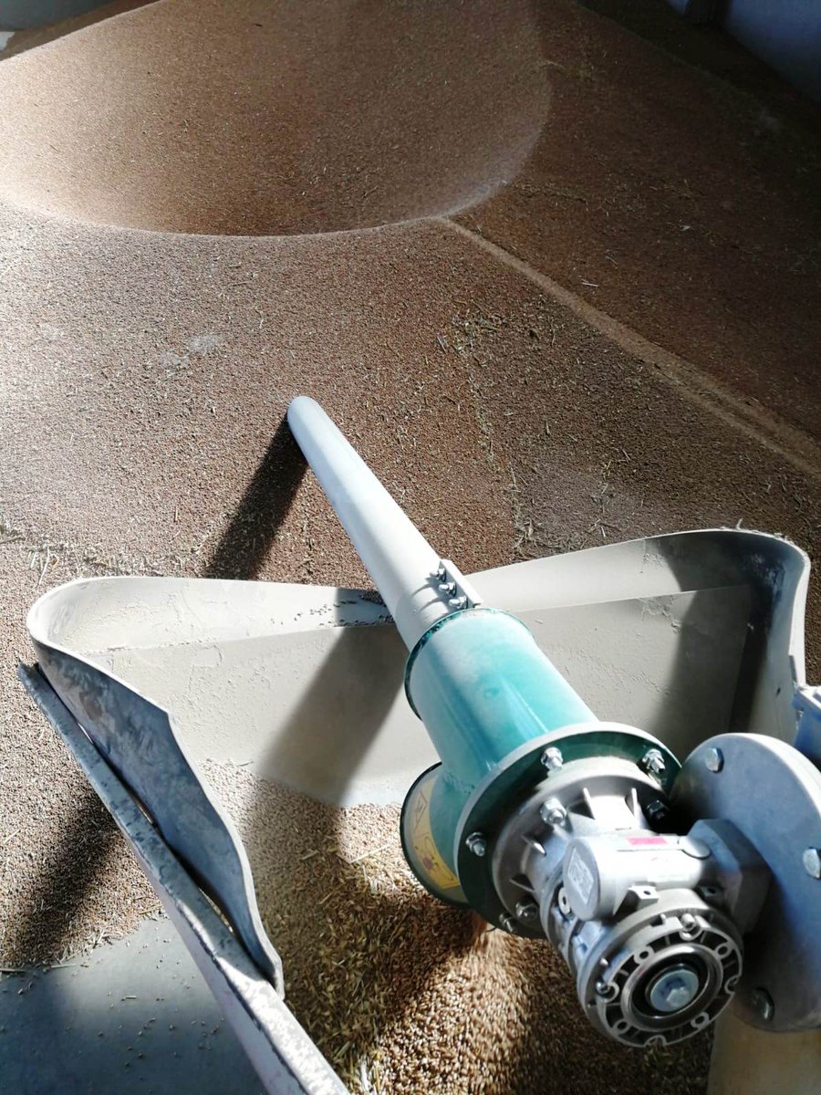 POFERSRL's tweet image. #POFER #coclea che alimenta sistema di #selezione e #concia #sementi 
[ pic courtesy of #MPsrl ]