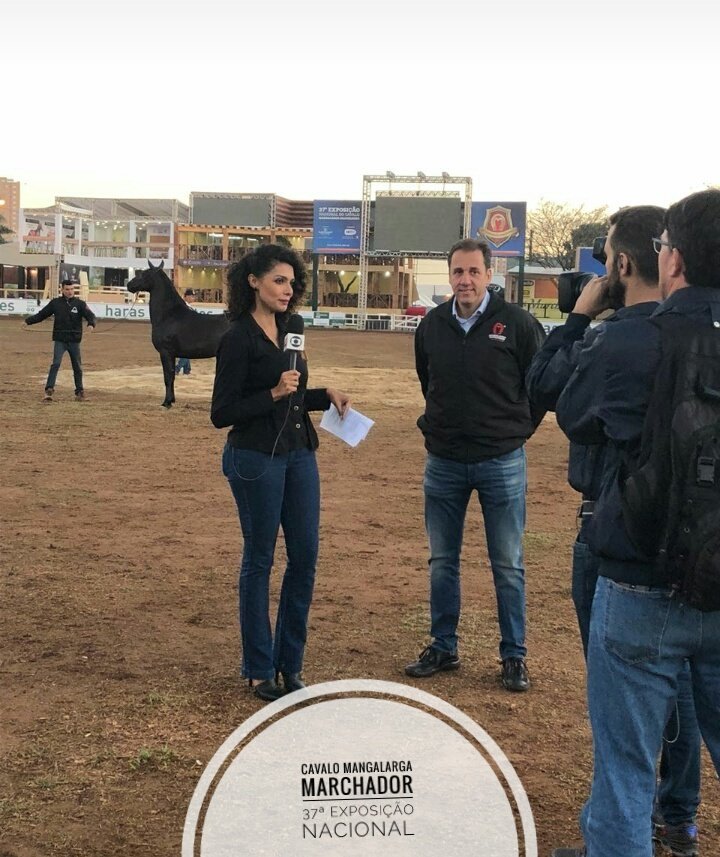 Interfacebh's tweet photo. Começou hoje, 17 de julho, e vai até domingo, dia 28, a 37ª Exposição Nacional do Cavalo Mangalarga Marchador, no Parque da Gameleira. 
A Interface é a assessoria oficial do evento, que hoje foi destaque no Bom Dia Minas da Globo. Informações: https://t.co/132qN4cW1P https://t.co/3PZLeoYVEF