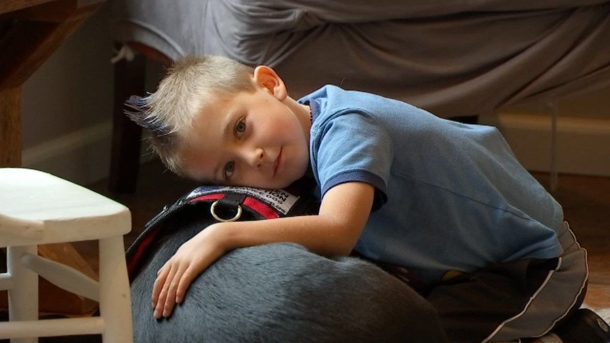 gluten___free's tweet photo. Service dog helps sniff out gluten for 6-year-old diagnosed with - KPTV - FOX 12 https://t.co/IjWolcgVMy #celiac https://t.co/FIM8b7esKp