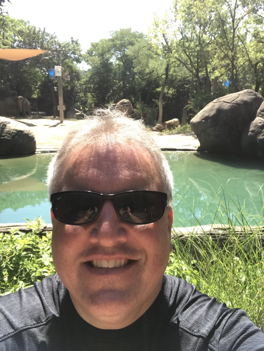 cincygreghoodin's tweet photo. Just kinda hanging out with these here elephants on a Bea-U-Tiful #zootiful day @CincinnatiZoo #summerincincy https://t.co/Jch9PZANi4