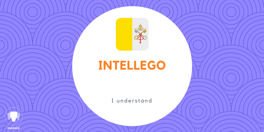 MeminiOfficial's tweet photo. How many #Latin words do you know? 🤓🇻🇦

#mfltwitterati #languagelearning #indiegame https://t.co/o3wuzsscCf