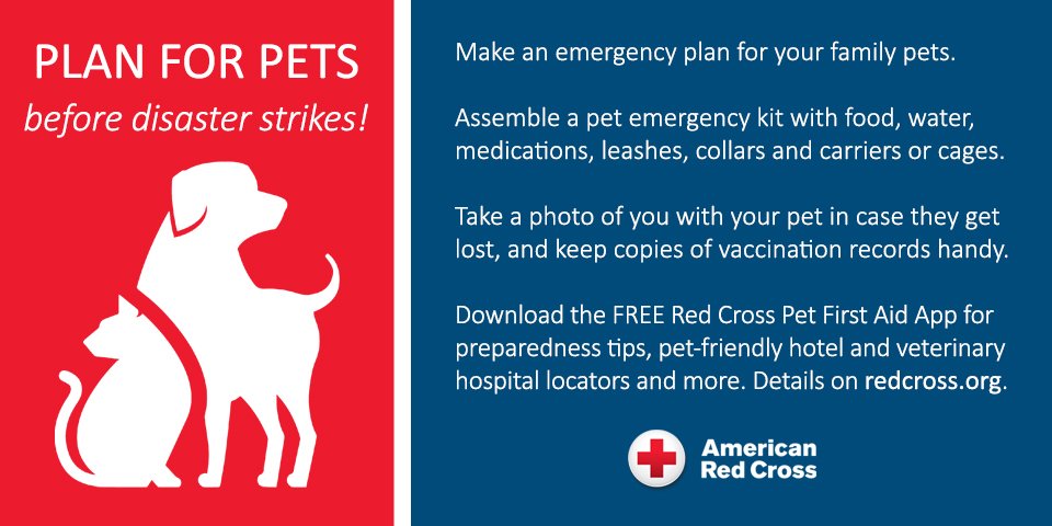 SFLRedCross's tweet photo. In an emergency, your pets will be more dependent on you for their safety and well-being. Make sure to assemble an emergency kit and create an emergency plan for not only your family but your pets too! Learn more on how to keep your furry friends safe: https://t.co/t1iLxiGUsL https://t.co/P99TpgeRfb