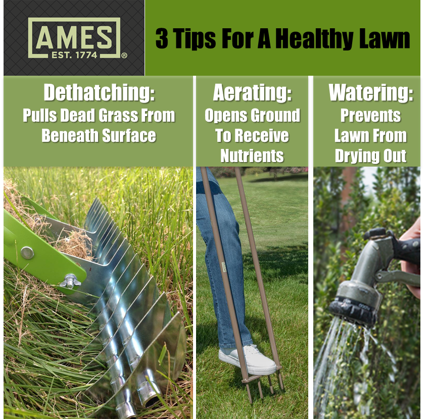 Keep your lawn in tip top shape this season with these three activities. #gardening #landscaping