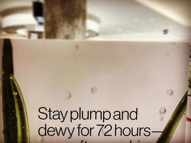 thelabcoatguy's tweet image. Bro, I’ve been plump and dewy for 53 YEARS! #beatthat #inyoface ift.tt/2LeMuYX